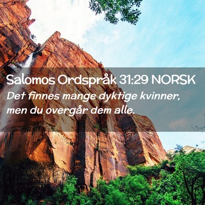 Picture 02 - Salomos Ordspråk 31:29 NORSK - Det finnes mange dyktige kvinner, men du overgår - Bible Verse Picture