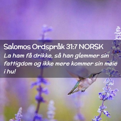 Picture 02 - Salomos Ordspråk 31:7 NORSK - La ham få drikke, så han glemmer sin fattigdom - Bible Verse Picture