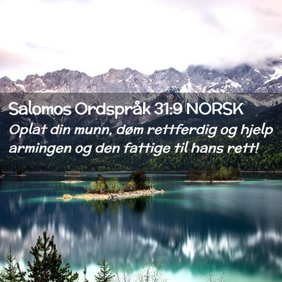 Picture 02 - Salomos Ordspråk 31:9 NORSK - Oplat din munn, døm rettferdig og hjelp armingen - Bible Verse Picture