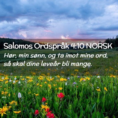Picture 02 - Salomos Ordspråk 4:10 NORSK - Hør, min sønn, og ta imot mine ord, så skal - Bible Verse Picture