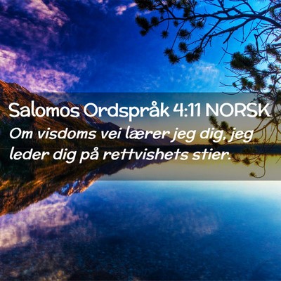 Picture 02 - Salomos Ordspråk 4:11 NORSK - Om visdoms vei lærer jeg dig, jeg leder dig på - Bible Verse Picture