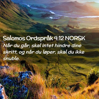 Picture 02 - Salomos Ordspråk 4:12 NORSK - Når du går, skal intet hindre dine skritt, og - Bible Verse Picture