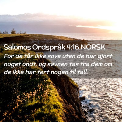 Picture 02 - Salomos Ordspråk 4:16 NORSK - For de får ikke sove uten de har gjort noget - Bible Verse Picture