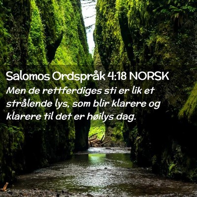 Picture 02 - Salomos Ordspråk 4:18 NORSK - Men de rettferdiges sti er lik et strålende lys, - Bible Verse Picture