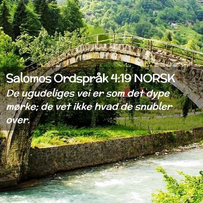 Picture 02 - Salomos Ordspråk 4:19 NORSK - De ugudeliges vei er som det dype mørke; de vet - Bible Verse Picture
