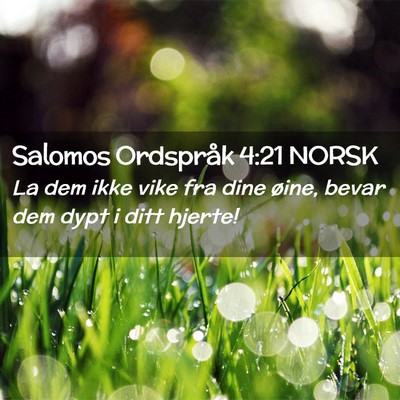 Picture 02 - Salomos Ordspråk 4:21 NORSK - La dem ikke vike fra dine øine, bevar dem dypt i - Bible Verse Picture