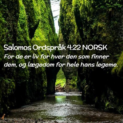 Picture 02 - Salomos Ordspråk 4:22 NORSK - For de er liv for hver den som finner dem, og - Bible Verse Picture