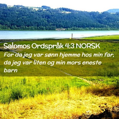 Picture 02 - Salomos Ordspråk 4:3 NORSK - For da jeg var sønn hjemme hos min far, da jeg - Bible Verse Picture