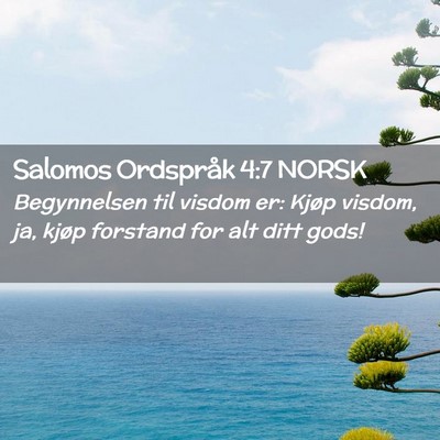 Picture 02 - Salomos Ordspråk 4:7 NORSK - Begynnelsen til visdom er: Kjøp visdom, ja, - Bible Verse Picture