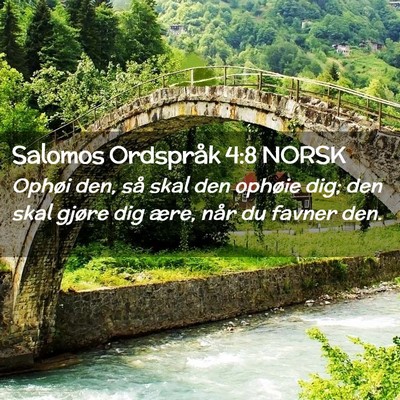 Picture 02 - Salomos Ordspråk 4:8 NORSK - Ophøi den, så skal den ophøie dig; den skal - Bible Verse Picture