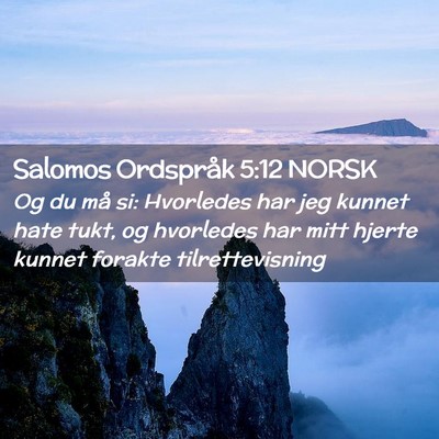 Picture 02 - Salomos Ordspråk 5:12 NORSK - Og du må si: Hvorledes har jeg kunnet hate tukt, - Bible Verse Picture