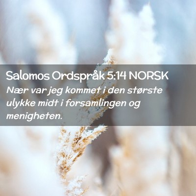 Picture 02 - Salomos Ordspråk 5:14 NORSK - Nær var jeg kommet i den største ulykke midt i - Bible Verse Picture