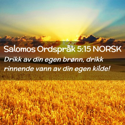Picture 02 - Salomos Ordspråk 5:15 NORSK - Drikk av din egen brønn, drikk rinnende vann av - Bible Verse Picture