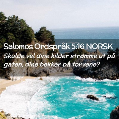 Picture 02 - Salomos Ordspråk 5:16 NORSK - Skulde vel dine kilder strømme ut på gaten, - Bible Verse Picture