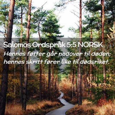 Picture 02 - Salomos Ordspråk 5:5 NORSK - Hennes føtter går nedover til døden; hennes - Bible Verse Picture