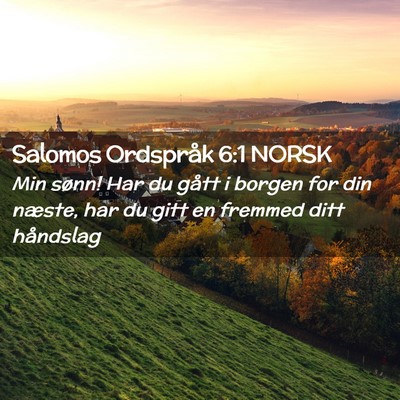 Picture 02 - Salomos Ordspråk 6:1 NORSK - Min sønn! Har du gått i borgen for din næste, - Bible Verse Picture