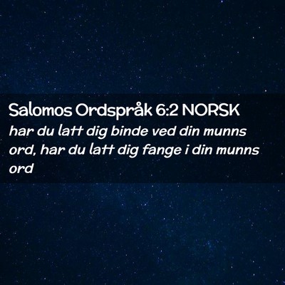 Picture 02 - Salomos Ordspråk 6:2 NORSK - har du latt dig binde ved din munns ord, har du - Bible Verse Picture
