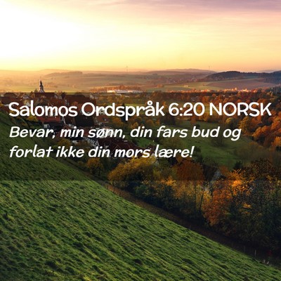 Picture 02 - Salomos Ordspråk 6:20 NORSK - Bevar, min sønn, din fars bud og forlat ikke din - Bible Verse Picture