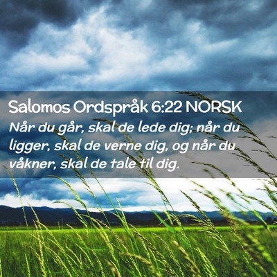 Picture 02 - Salomos Ordspråk 6:22 NORSK - Når du går, skal de lede dig; når du ligger, - Bible Verse Picture