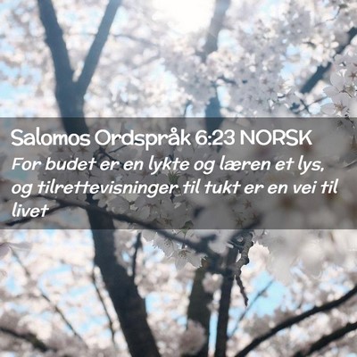 Picture 02 - Salomos Ordspråk 6:23 NORSK - For budet er en lykte og læren et lys, og - Bible Verse Picture