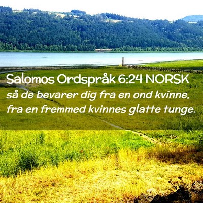 Picture 02 - Salomos Ordspråk 6:24 NORSK - så de bevarer dig fra en ond kvinne, fra en - Bible Verse Picture