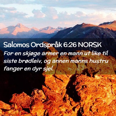 Picture 02 - Salomos Ordspråk 6:26 NORSK - For en skjøge armer en mann ut like til siste - Bible Verse Picture