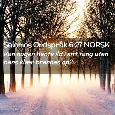 Picture 02 - Salomos Ordspråk 6:27 NORSK - Kan nogen hente ild i sitt fang uten hans klær - Bible Verse Picture
