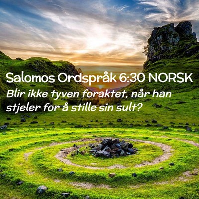 Picture 02 - Salomos Ordspråk 6:30 NORSK - Blir ikke tyven foraktet, når han stjeler for å - Bible Verse Picture