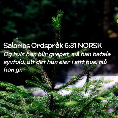 Picture 02 - Salomos Ordspråk 6:31 NORSK - Og hvis han blir grepet, må han betale syvfold; - Bible Verse Picture