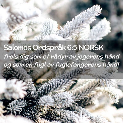 Picture 02 - Salomos Ordspråk 6:5 NORSK - frels dig som et rådyr av jegerens hånd og som - Bible Verse Picture