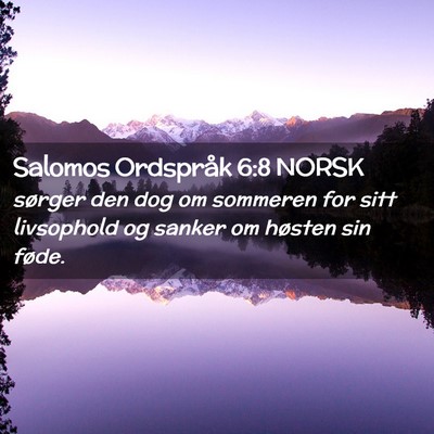 Picture 02 - Salomos Ordspråk 6:8 NORSK - sørger den dog om sommeren for sitt livsophold - Bible Verse Picture