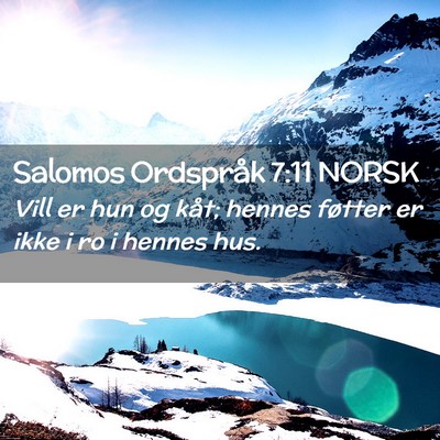 Picture 02 - Salomos Ordspråk 7:11 NORSK - Vill er hun og kåt; hennes føtter er ikke i ro - Bible Verse Picture