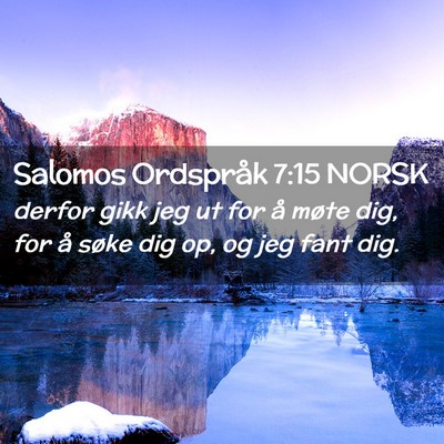 Picture 02 - Salomos Ordspråk 7:15 NORSK - derfor gikk jeg ut for å møte dig, for å søke - Bible Verse Picture
