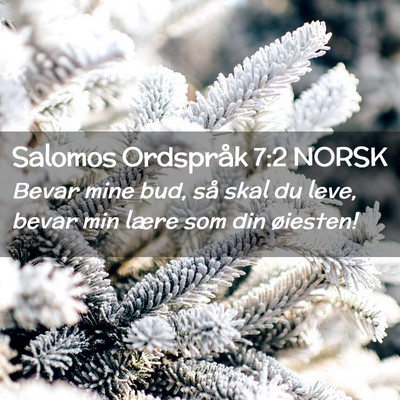 Picture 02 - Salomos Ordspråk 7:2 NORSK - Bevar mine bud, så skal du leve, bevar min lære - Bible Verse Picture