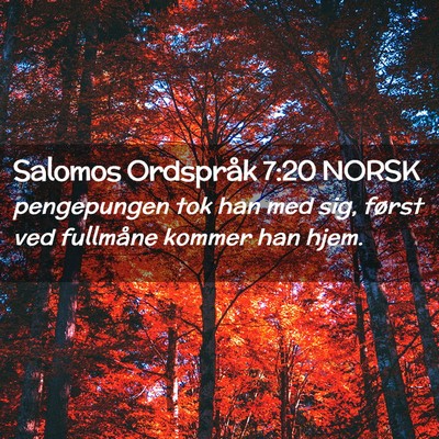 Picture 02 - Salomos Ordspråk 7:20 NORSK - pengepungen tok han med sig, først ved fullmåne - Bible Verse Picture