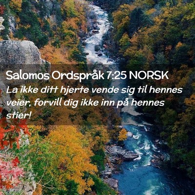 Picture 02 - Salomos Ordspråk 7:25 NORSK - La ikke ditt hjerte vende sig til hennes veier, - Bible Verse Picture