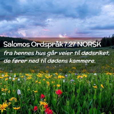 Picture 02 - Salomos Ordspråk 7:27 NORSK - fra hennes hus går veier til dødsriket, de - Bible Verse Picture