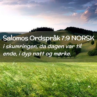 Picture 02 - Salomos Ordspråk 7:9 NORSK - i skumringen, da dagen var til ende, i dyp natt - Bible Verse Picture