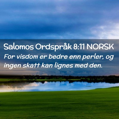 Picture 02 - Salomos Ordspråk 8:11 NORSK - For visdom er bedre enn perler, og ingen skatt - Bible Verse Picture
