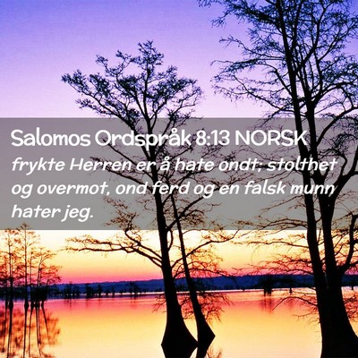 Picture 02 - Salomos Ordspråk 8:13 NORSK - frykte Herren er å hate ondt; stolthet og - Bible Verse Picture