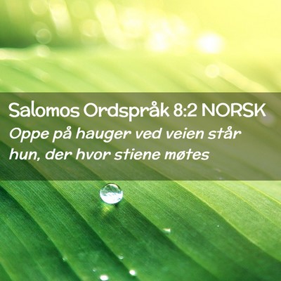 Picture 02 - Salomos Ordspråk 8:2 NORSK - Oppe på hauger ved veien står hun, der hvor - Bible Verse Picture