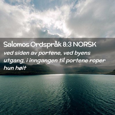 Picture 02 - Salomos Ordspråk 8:3 NORSK - ved siden av portene, ved byens utgang, i - Bible Verse Picture