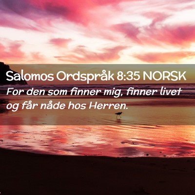 Picture 02 - Salomos Ordspråk 8:35 NORSK - For den som finner mig, finner livet og får - Bible Verse Picture