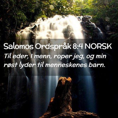 Picture 02 - Salomos Ordspråk 8:4 NORSK - Til eder, I menn, roper jeg, og min røst lyder - Bible Verse Picture