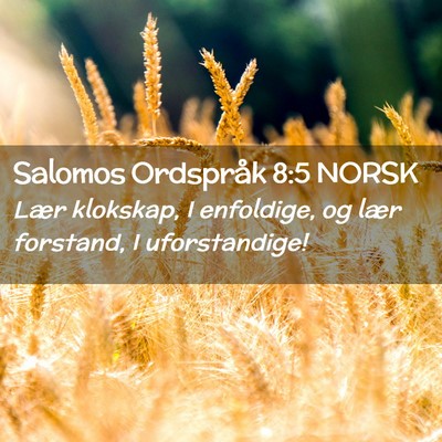 Picture 02 - Salomos Ordspråk 8:5 NORSK - Lær klokskap, I enfoldige, og lær forstand, I - Bible Verse Picture