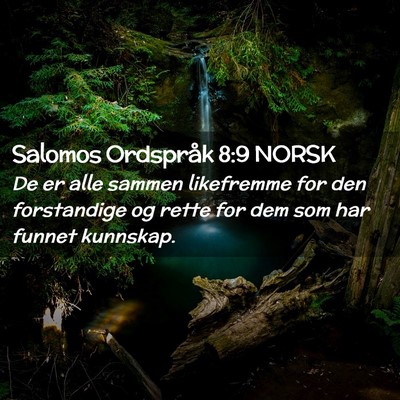 Picture 02 - Salomos Ordspråk 8:9 NORSK - De er alle sammen likefremme for den forstandige - Bible Verse Picture