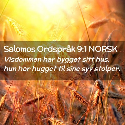 Picture 02 - Salomos Ordspråk 9:1 NORSK - Visdommen har bygget sitt hus, hun har hugget til - Bible Verse Picture