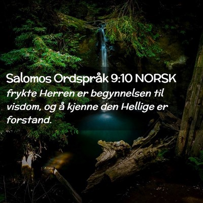 Picture 02 - Salomos Ordspråk 9:10 NORSK - frykte Herren er begynnelsen til visdom, og å - Bible Verse Picture