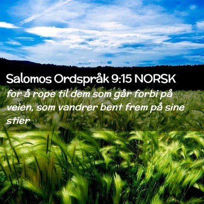 Picture 02 - Salomos Ordspråk 9:15 NORSK - for å rope til dem som går forbi på veien, som - Bible Verse Picture