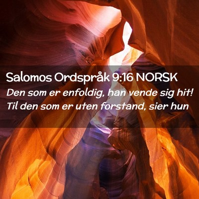 Picture 02 - Salomos Ordspråk 9:16 NORSK - Den som er enfoldig, han vende sig hit! Til den - Bible Verse Picture